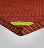 Resteria 5 inch Coir Queen Size Mattress