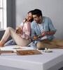 Bamboo Terry (78x48) Polyester Waterproof Queen Size Mattress Protector