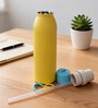 Yellow Slim Fit Stainless Steel Hydration Water Bottle with Carry Loop, 750 ml