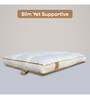 Slim Microfiber 26 x 16 Inch Pillows (Set of 2)
