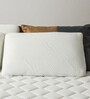 Slim Memory Foam 24 x 15 Inch Pillow