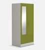 Slimline 2 Door Almirah In Green Colour