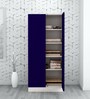 Slimline 2 Door Almirah in Textured Ultra Marine Blue Colour