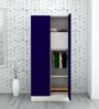 Slimline 2 Door Almirah in Textured Ultra Marine Blue Colour