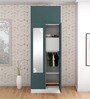 Slimline 2 Door M2 O2 Steel Almirah in Textured Sea Pine Colour
