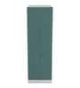 Slimline 2 Door O2 Steel Almirah in Textured Sea Pine Colour