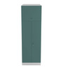 Slimline 2 Door O2 Steel Almirah in Textured Sea Pine Colour