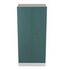 Slimline 2 Door Steel Almirah in Textured Sea Pine Colour