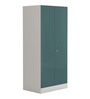 Slimline Metal 2 Door Almirah in Textured Sea Pine Colour