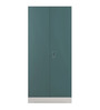 Slimline Metal 2 Door Almirah in Textured Sea Pine Colour