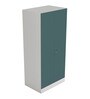 Slimline Metal 2 Door Almirah in Textured Sea Pine Colour