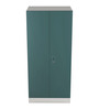 Slimline Metal 2 Door Almirah in Textured Sea Pine Colour