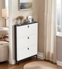 Slimline 3 Drawer Shoe Cabinet Organizer Acrylic Finish