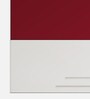 Slimline M2 Steel 2 Door Almirah in Textured Carmine Red Colour With Locker & Drawer