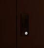Slimline 2 Door Almirah (with Mirror) in Russet Colour