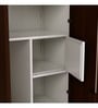 Slimline 2 Door Almirah (with Mirror) in Russet Colour
