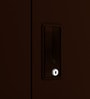 Slimline 2 Door Almirah (with Mirror) in Russet Colour