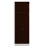 Slimline 2 Door Almirah in Russet Colour