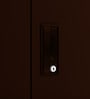 Slimline 2 Door Almirah (with Mirror) in Russet Colour