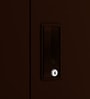 Slimline 2 Door Almirah in Russet Colour