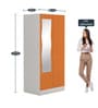 Slimline Metal 2 Door Almirah in Textured Marigold Colour