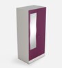 Slimline Metal 2 Door Almirah in Textured Purple & Grey Colour