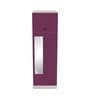 Slimline Metal 2 Door Almirah in Textured Purple & Grey Colour
