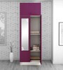 Slimline Metal 2 Door Almirah in Textured Purple & Grey Colour