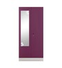 Slimline Metal 2 Door Almirah in Textured Purple & Grey Colour