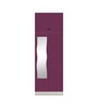 Slimline Metal 2 Door Almirah in Textured Purple & Grey Colour
