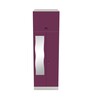 Slimline Metal 2 Door Almirah in Textured Purple & Grey Colour