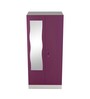 Slimline Metal 2 Door Almirah in Textured Purple & Grey Colour
