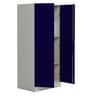 Slimline 2 Door Almirah in Textured Ultra Marine Blue Colour