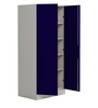 Slimline 2 Door Almirah in Textured Ultra Marine Blue Colour