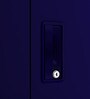 Slimline 2 Door Almirah in Textured Ultra Marine Blue Colour