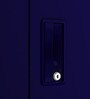 Slimline 2 Door Almirah (with Mirror) in Textured Ultra Marine Blue Colour
