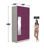 Slimline Metal 3 Door Almirah in Textured Purple Colour