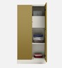Slimline Steel 2 Door Wardrobe In Amber Green Matte Colour