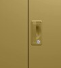 Slimline Steel 2 Door Wardrobe In Amber Green Matte Colour