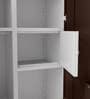 Slimline Steel 2 Door Almirah in Russet Colour With Locker & Drawer