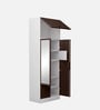Slimline Steel 2 Door Almirah in Russet Colour With Locker & Drawer