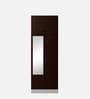 Slimline Steel 2 Door Almirah in Russet Colour With Locker & Drawer