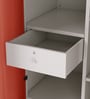 Slimline Steel 2 Door Almirah in Textured Terracotta Colour With Locker & Drawer