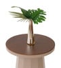 Slip Metal Side Table in Dusty Beige & Exotic Teak Finish