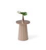 Slip Metal Side Table in Dusty Beige & Exotic Teak Finish