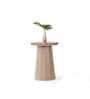Slip Metal Side Table in Dusty Beige & Exotic Teak Finish