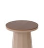 Slip Metal Side Table in Dusty Beige & Exotic Teak Finish