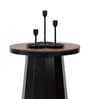 Slip Metal Side Table in Matte Black & Exotic Teak Finish