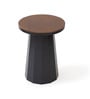 Slip Metal Side Table in Matte Black & Exotic Teak Finish