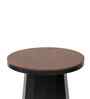 Slip Metal Side Table in Matte Black & Exotic Teak Finish